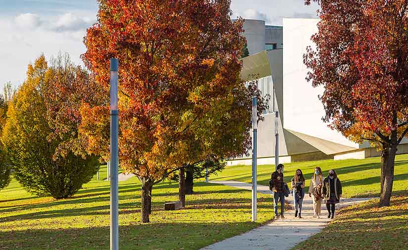 El campus de la Universidad de Navarra, premiado por cuarto año consecutivo con el Green Flag