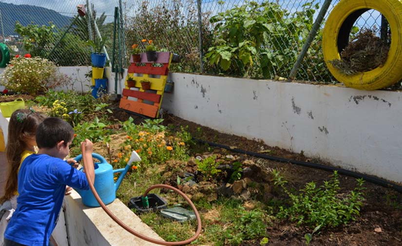 El Consorcio de Servicios de La Palma continúa impulsando el compostaje