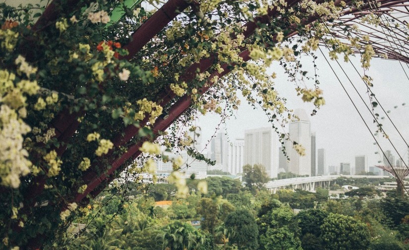 El ideal urbano es una ciudad naturalizada