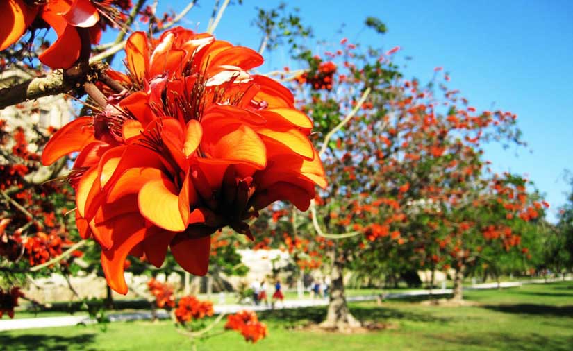 El Jardín del Turia, en Valencia, dispondrá de 4 nuevos baños públicos