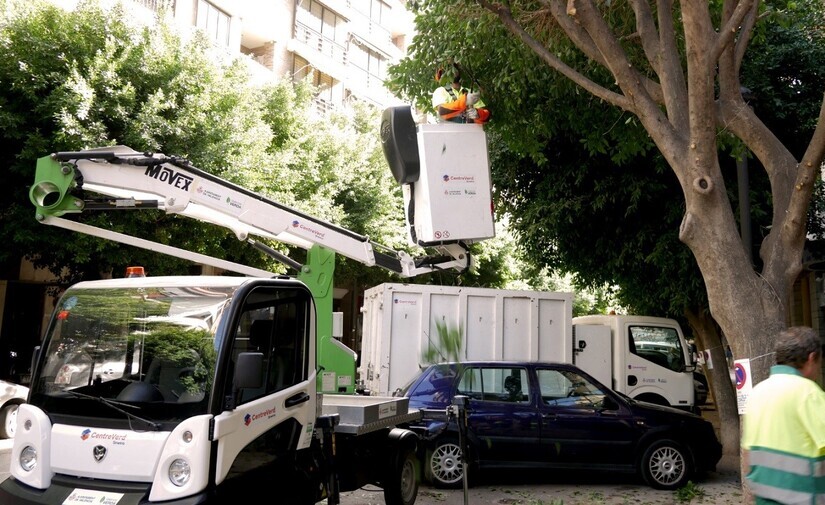 El nuevo contrato de jardinería en Valencia incrementa la poda de árboles en más de un 400%