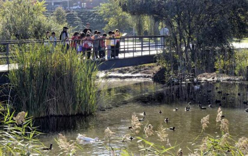 Comienza la modernización del Parque de Las Llamas en Santander con obras valoradas en más de un millón de euros