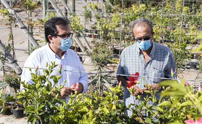 El ‘Plan Savia’ embellecerá Almería con 60.000 plantas para los 103 municipios