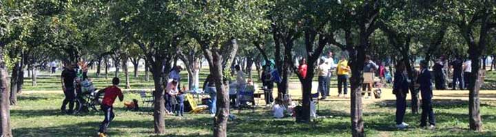 El Ayuntamiento de Utrera saca a concurso el mantenimiento del parque del V Centenario