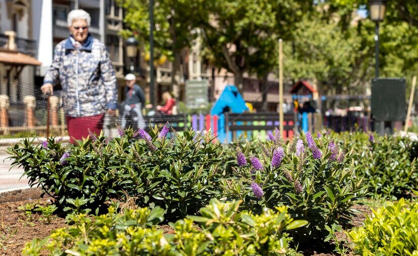 Finaliza la renovación de los viejos parterres del Paseo Sagasta en Zaragoza