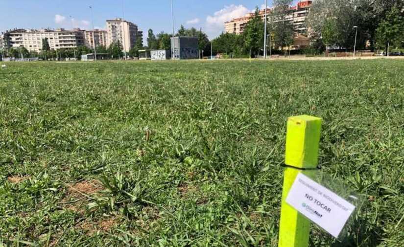 Girona inicia un piloto para mejorar la biodiversidad urbana