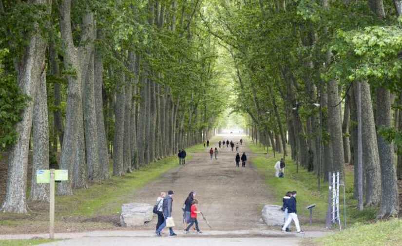 Girona lanza una encuesta vecinal para lograr una ciudad más verde