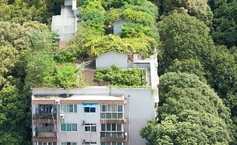 Hacia ciudades más saludables: las medidas de la COP30 para el futuro urbano