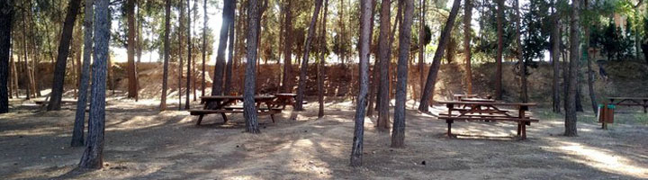 Sant Pere de Ribes comienza la primera fase de renovación del picnic de la Vilanoveta