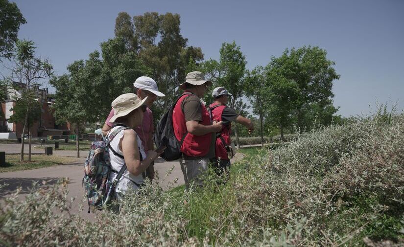 Bioblitz Metropolità permitió el avistamiento de 1.855 organismos diversos en la metrópolis de Barcelona