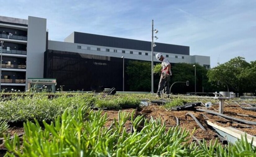 La bici estación de San Bernardo se tiñe de verde