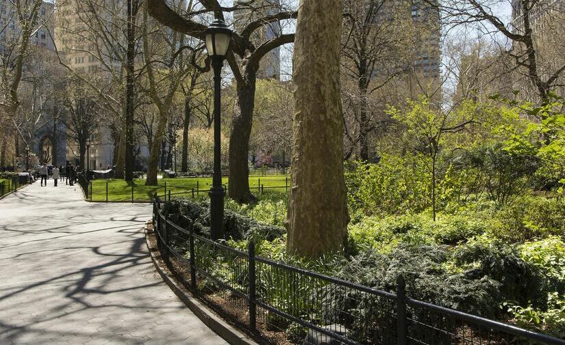 La infraestructura verde como pieza clave contra el efecto isla de calor en las ciudades