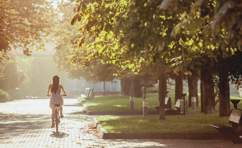 La Red de Ciudades por la Bicicleta reclama más consenso político para este medio