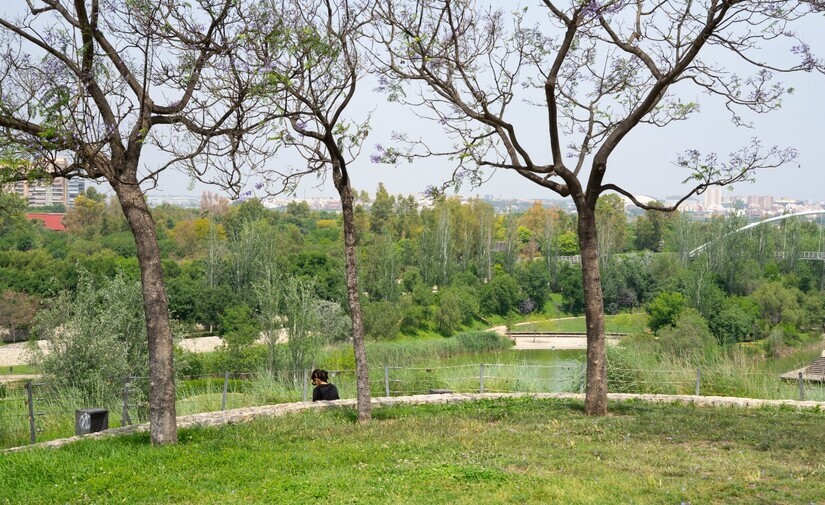 La inversión para los parques y jardines de Valencia incrementará un 25% en 2024