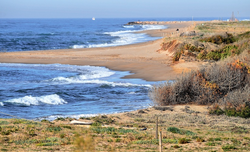 Las playas protegidas del delta del Llobregat serán gestionadas por el Área Metropolitana de Barcelona