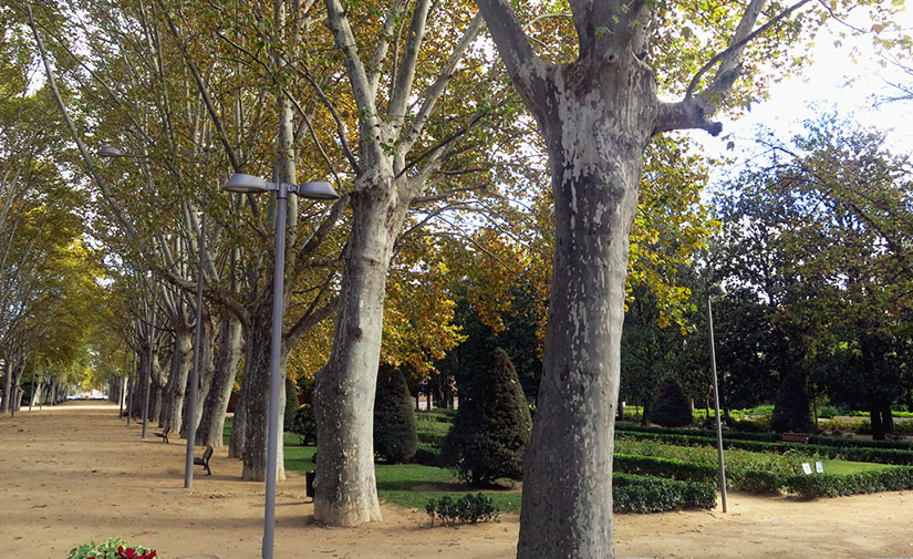 Lleida contará con un Plan de Espacios Verdes para mejorar la biodiversidad, servicios y conectividad del patrimonio natural