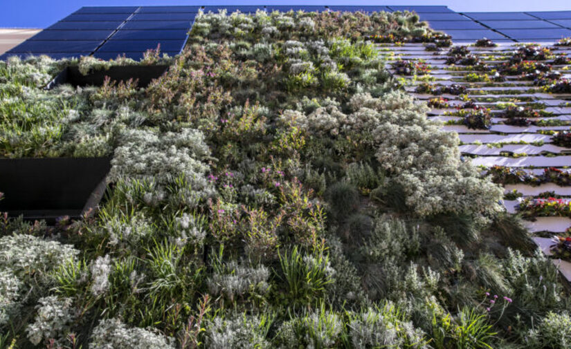 Los jardines verticales vuelven a relucir en Barcelona