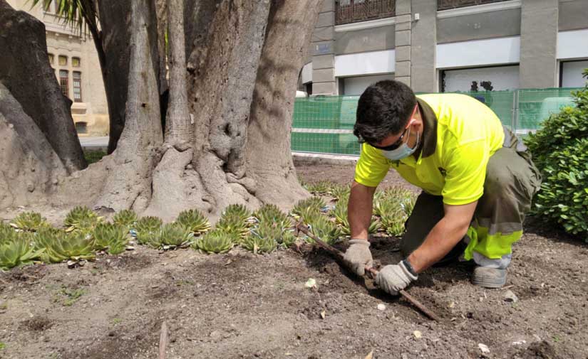 Los parques y jardines de Murcia utilizan un sistema de riego eficiente con el que se ahorra un 30%