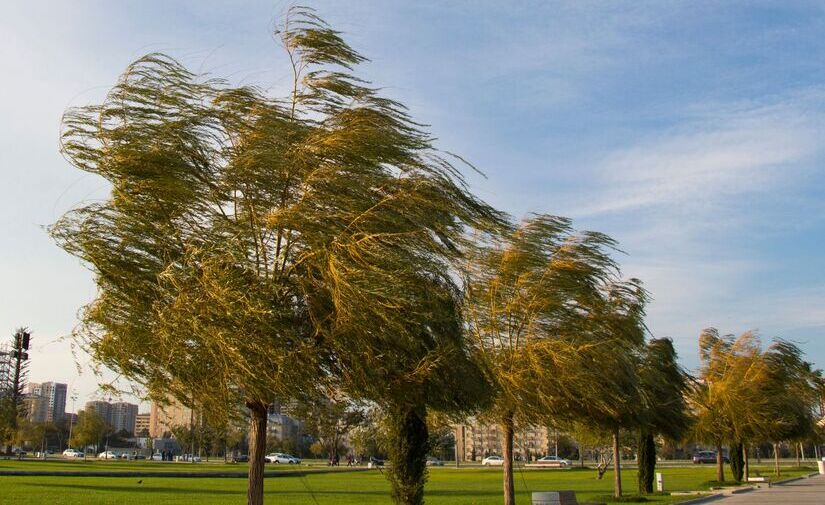 Los temporales de viento disparan las incidencias con contenedores urbanos y obligan a reforzar su fijación