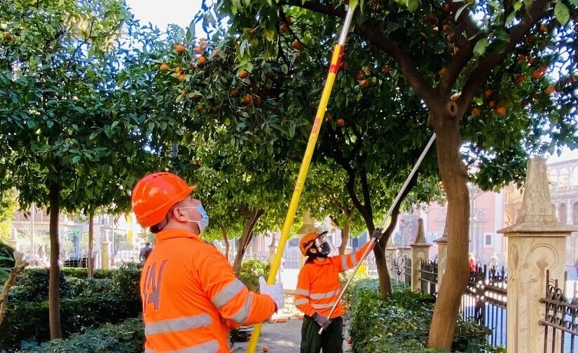 La gestión del verde, limpieza viaria y recogida de residuos de Valencia obtiene el aprobado de la ciudadanía