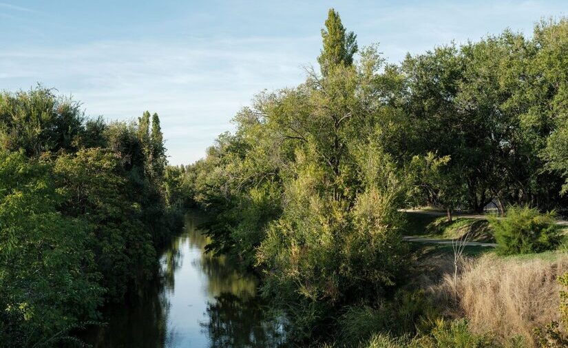 Un proyecto del Bosque Metropolitano recuperará el ecosistema fluvial del Manzanares con fondos europeos