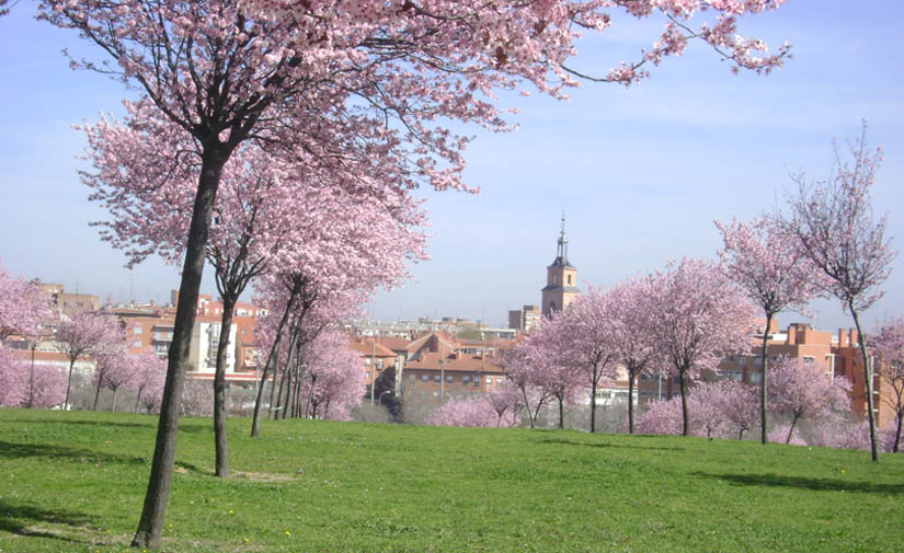 Madrid convierte el Parque Forestal de Valdebernardo en sostenible y eficiente energéticamente