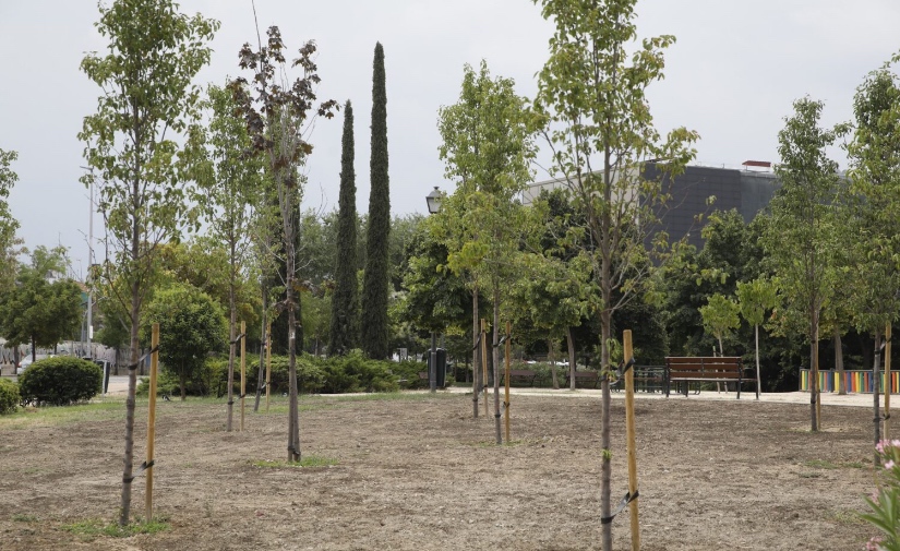Madrid invierte 109 millones en infraestructura verde urbana para transformar la ciudad en un modelo más resiliente