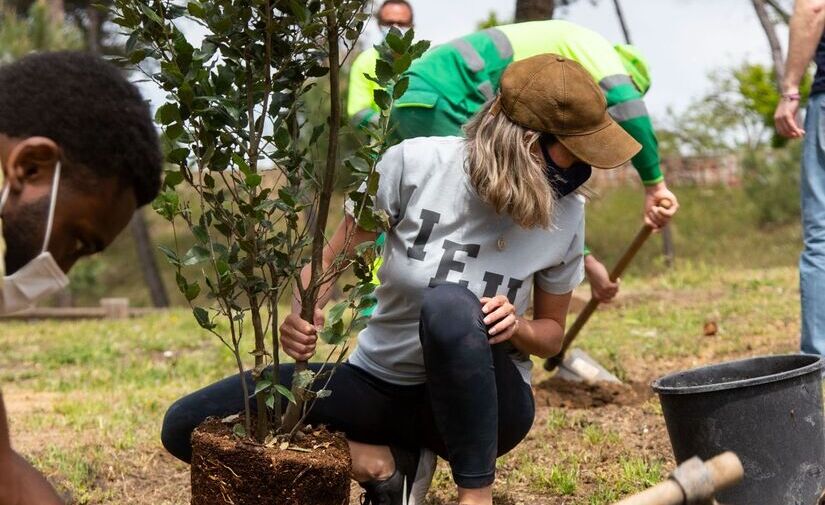 Madrid recibe el galardón 'Reforest Project' por su labor ambiental