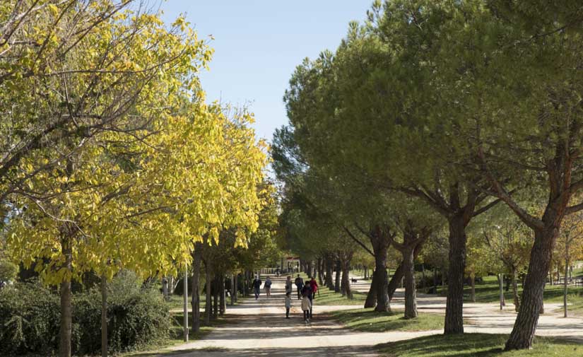 Madrid refuerza el cuidado de sus zonas verdes con un incremento del presupuesto del 52,8 %