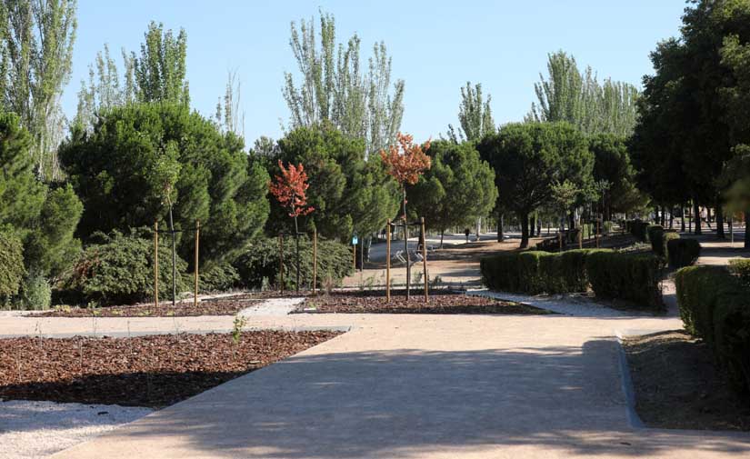 Madrid remodela y protege el parque Alcalde Jesús Pérez Quijano con una pantalla vegetal