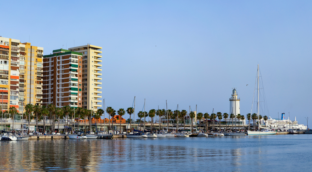 Málaga impulsa un plan de reforestación periurbana con 1 millón de euros y contrato a cuatro años