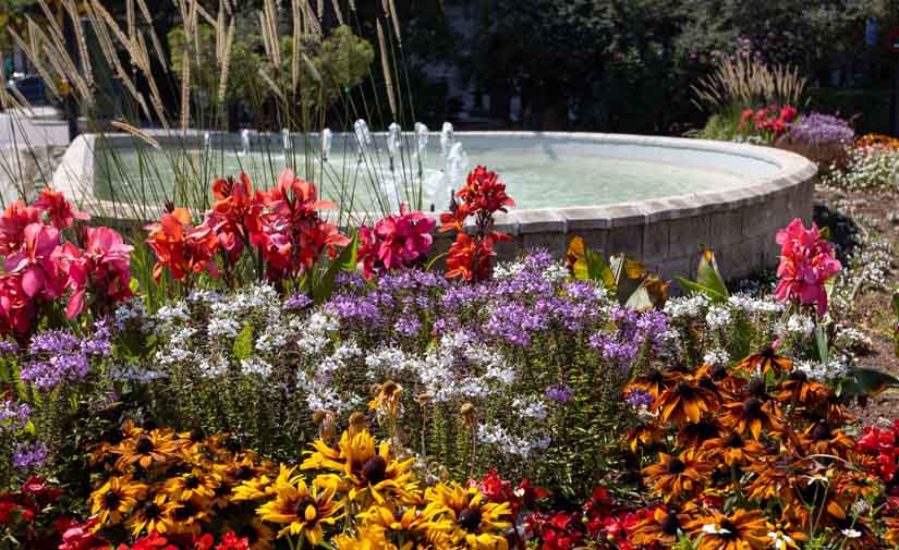 Más de 12.000 nuevas plantas con flor embellecen ya Zaragoza en distintos puntos de toda la ciudad