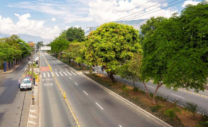 Medellín se refresca con intervenciones urbanas basadas en la naturaleza