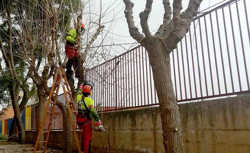 Murcia continúa su apuesta por mejorar el medioambiente con el uso de maquinaria eléctrica para el cuidado de los jardines