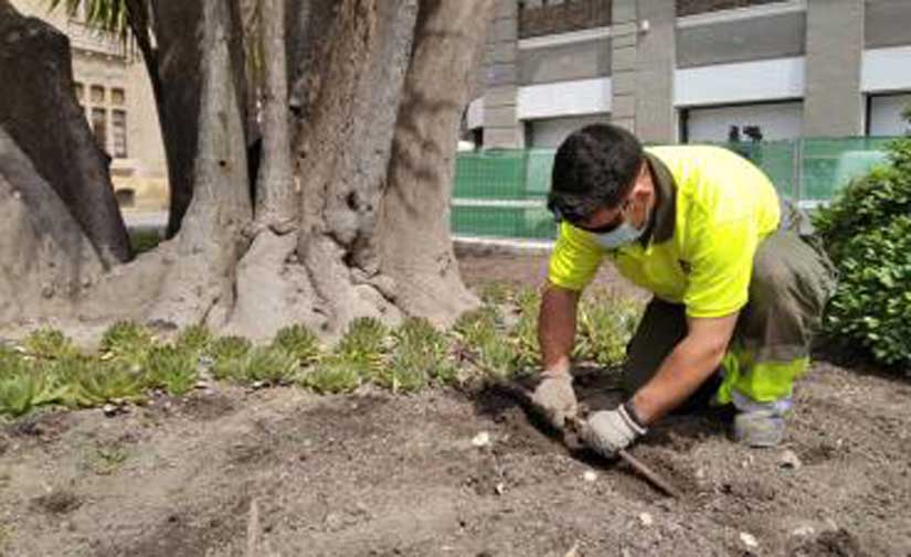 Murcia utiliza sistemas Smart City para ahorrar agua