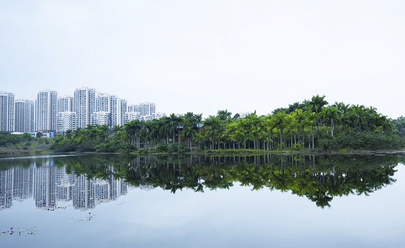 Naciones Unidas impulsa UrbanShift, una iniciativa global para transformar ciudades en espacios verdes