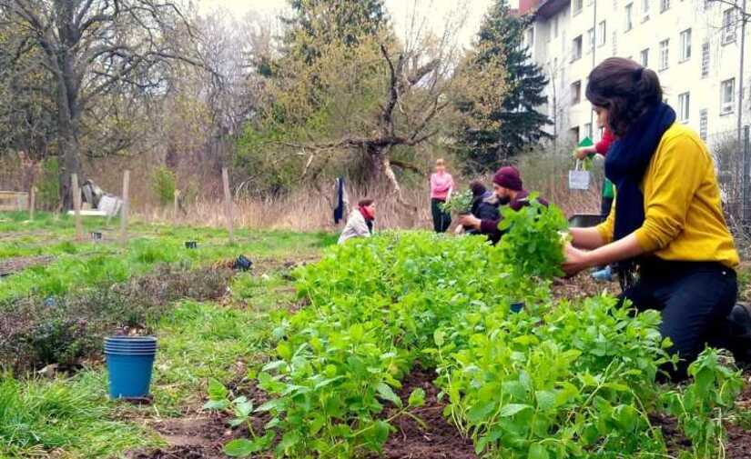 Nueva web como punto de encuentro para la creación de “ciudades comestibles”