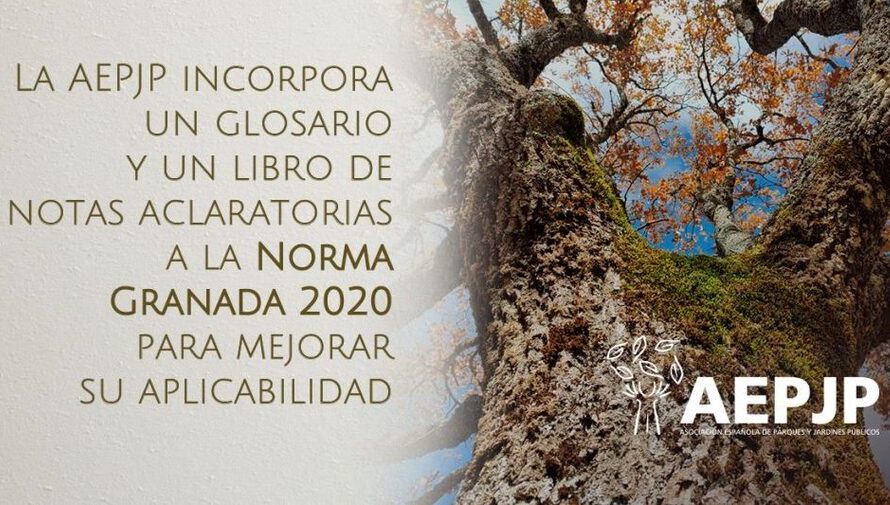Nuevo glosario de la AEPJP sobre la Norma Granada 2020 para su mejor comprensión
