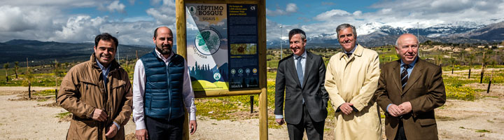 El séptimo Bosque SIGAUS crecerá en la localidad madrileña de Colmenar Viejo