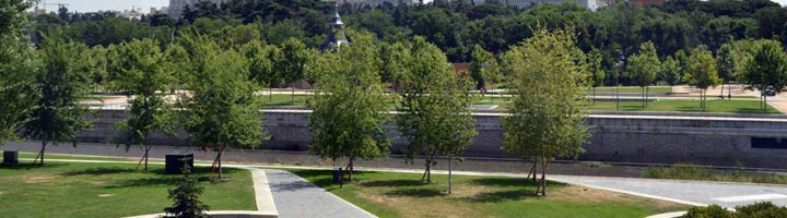 Madrid apuesta por una ciudad más verde con la plantación de más de 17.000 árboles