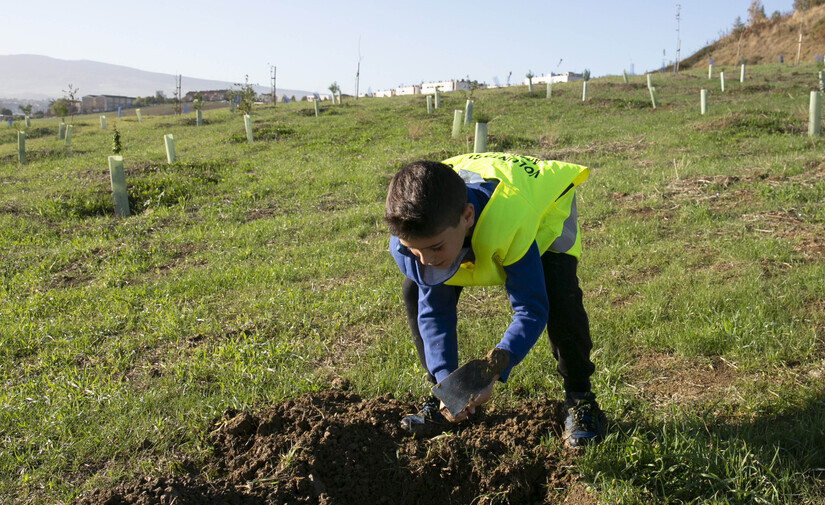 Pamplona concluye su proyecto de bosque sumidero de CO2