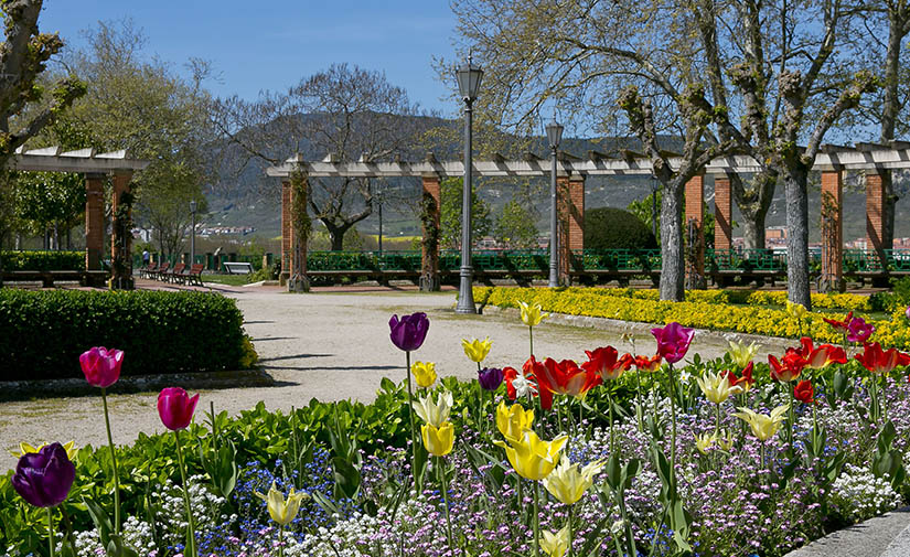Pamplona renovará las plantas de flor para los parterres de la ciudad