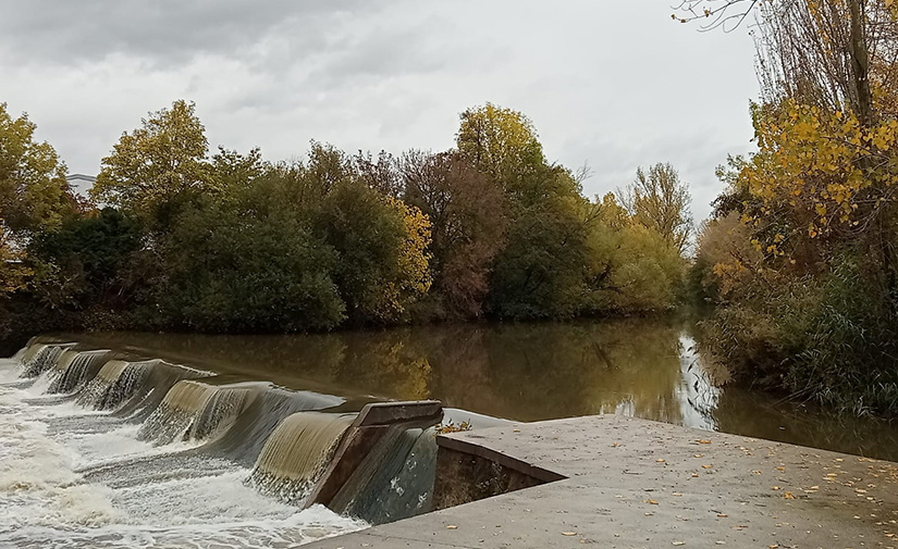 Pamplona trabaja en un Plan de Infraestructura Verde y Drenaje Sostenible