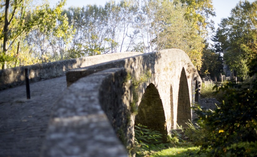 Adjudicado el Plan de Infraestructura Verde y Drenaje Urbano Sostenible de Pamplona