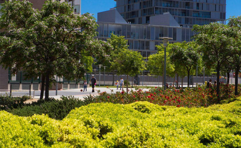 Parque de Diagonal Mar: nuevo refugio de biodiversidad en la ciudad de Barcelona