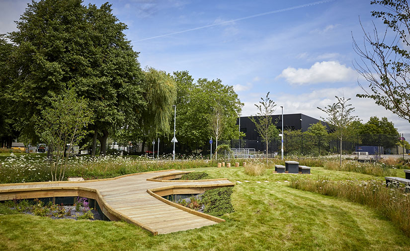 Parques de esponjas y jardines verticales: cómo las ciudades utilizan la naturaleza para superar el clima extremo