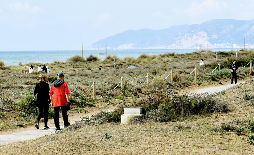 Premio europeo a la recuperación y gestión de dunas en las playas del área metropolitana de Barcelona
