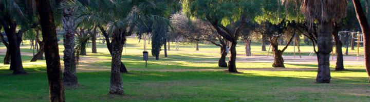 Sevilla comienza la segunda fase de la instalación del riego automático en el Parque Amate