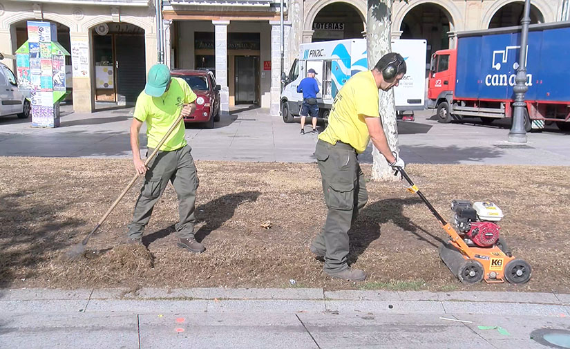 Recuperación natural de los jardines de Pamplona con empleo de la técnica de escarificación