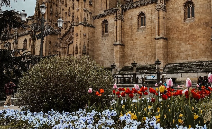 Salamanca continúa las obras de renaturalización de la ciudad